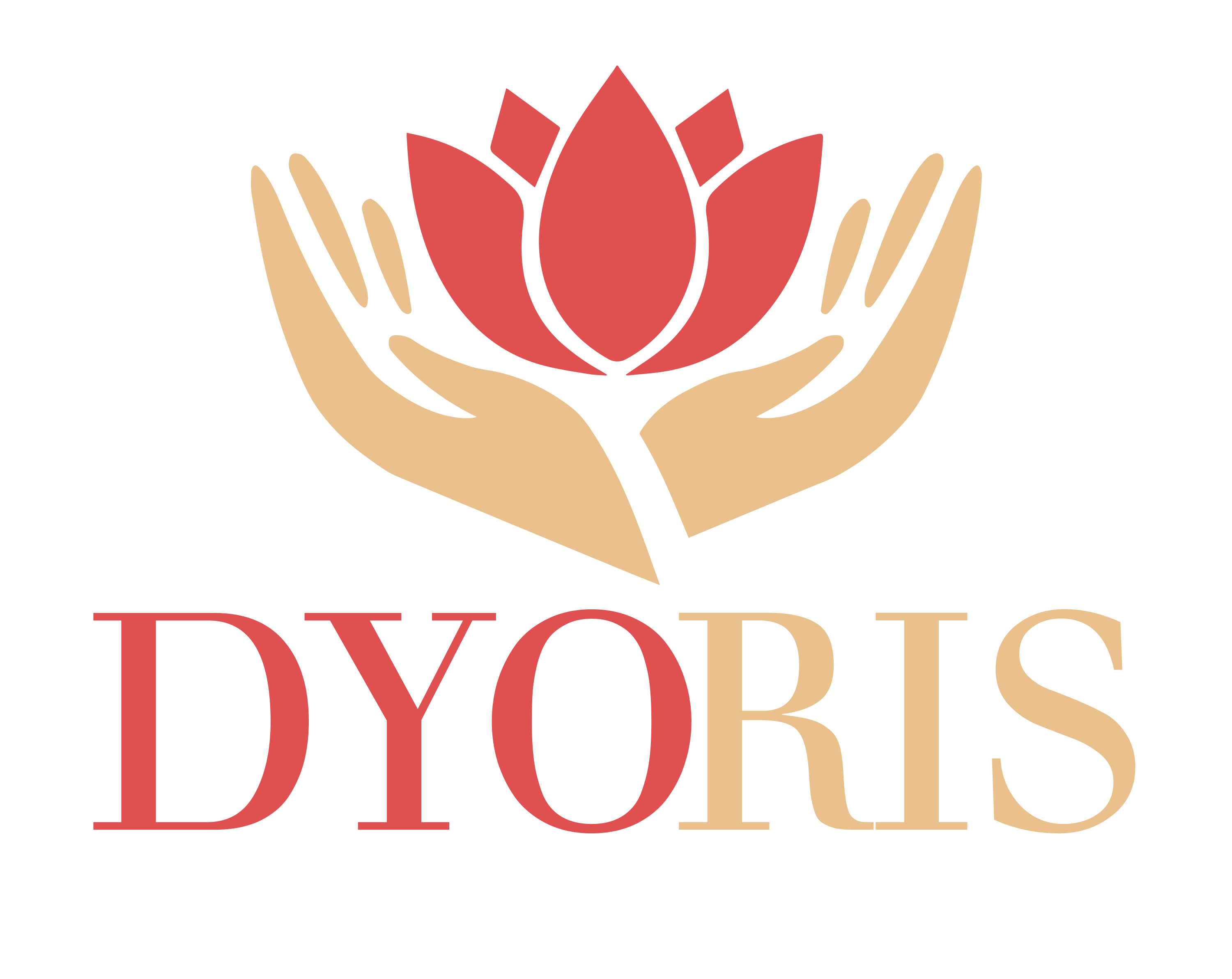 Logo DYORIS